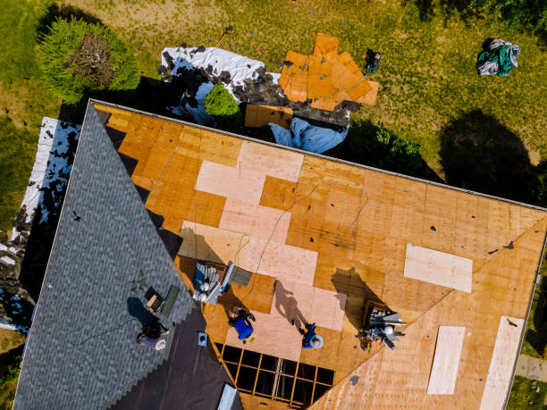 Professional Roofing Contractor in Marshallville, GA