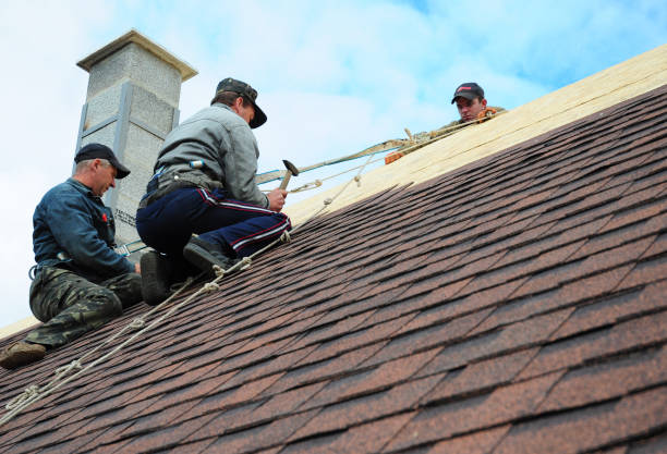 Best Roof Restoration Services  in Marshallville, GA