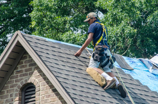 Sealant for Roof in Marshallville, GA