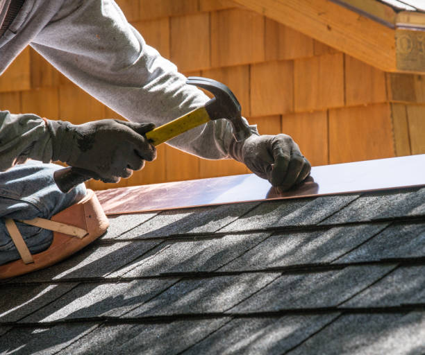 Best Roof Gutter Cleaning  in Marshallville, GA